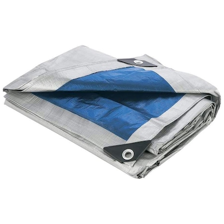 Greengrass 20 ft x 30 ft Tarp, Blue GR2527847